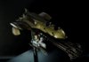 rpf vanship004.jpg