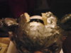 DSCF1544.JPG