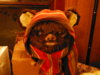 DSCF1557.JPG