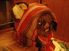 DSCF1558.JPG