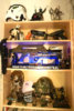 CIMG2559-b.jpg