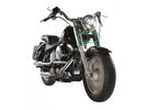 T2 Harley.jpg