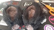 IMG_20201107_150321_117.jpg