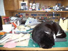 DSC01001.JPG