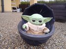 IMG_20201212_092653.jpg