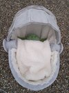 IMG_20201216_150641.jpg