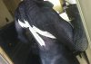 ImageUploadedByTapatalk1400859048.302147.jpg