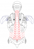 back view so far.PNG