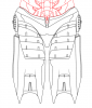 Back (Thighs).PNG