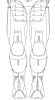 Back (Legs).PNG