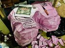 hogClf_pink1.jpg