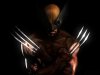 the_wolverine__classic_brown__by_darqueimages-d6yv6jl.jpg
