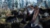 Rollenspiel-The-Witcher-3-Wild-Hunt-658x370-8970c2ee49d23812.jpg