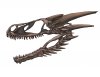 DRAGON SKULL RENDERING.jpg