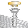 cache-vis-pour-vis-tfp-torx_appli1.jpg