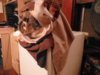 DSCF1563.JPG