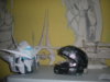 DSCN4336.JPG