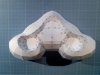 2013-12-28_13-59-18_185.jpg