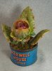 grow6.jpg grow6.jpg