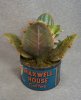 grow10.jpg grow10.jpg