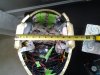 20140611_074337.jpg