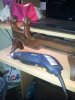 20140616_114452.jpg