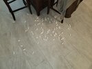 20210831_170903.jpg