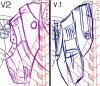 Back V2 rough.JPG
