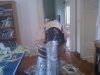 WP_000587.jpg
