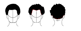 hair notes2.png