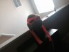 mikey2.jpg