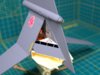 skyhopper02.jpg skyhopper02.jpg
