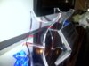 IMG-20130527-00699.jpg