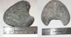 fossil bones.jpg