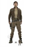 Captain-Cassian-Ador-Star-Wars-Rogue-One-lifesize-and-mini-cardboard-cutout-buy-now-at-Starsti...jpg