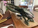 first set of wings fitted.jpg
