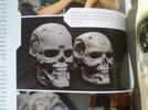T4 - Endoskeleton - Skulls - 01.jpg