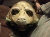 20140728_090141.jpg