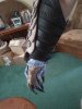 RH arm 1.jpg RH arm 1.jpg