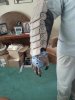 RH arm 2.jpg RH arm 2.jpg