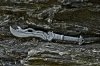 dagger1-1_small.jpg dagger1-1_small.jpg