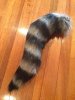 Rocket tail.jpg