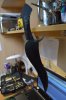 DSC_0282.JPG DSC_0282.JPG