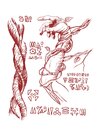 93.jpg