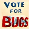 Bugs.jpg