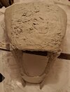 20221003_205508croppedpooptop.jpg