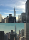 Dolphin Hotel NY Comp.png