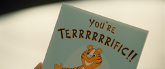 Image181.png