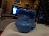WIN_20140808_210140.JPG