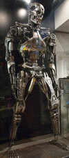 Endoskeleton - Tomenosuke Shoten shop - Japan - 007.jpg